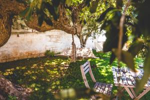 Zahrada ubytování Trulli-eu Guesthouse Alberobello