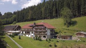 Příroda nedaleko hotelu