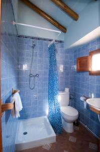 een blauw betegelde badkamer met een douche en een toilet bij El Cortijo at Molino la Ratonera in Zagra