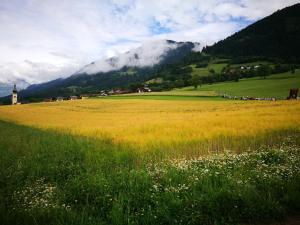 ein Grasfeld mit einer Kirche und einem Berg in der Unterkunft Ortnerhof in Millstatt