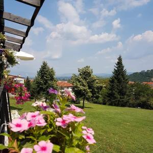 a view of a yard with pink flowers at King Alexander in Florina