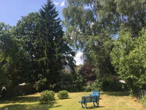 una panchina blu seduta sull'erba vicino agli alberi di Messe zu Fuß ad Hannover