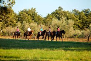 a group of people riding horses in a field at Hotel Istra Plava Laguna in Poreč