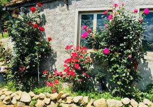 een huis met bloemen voor een raam bij Il residence della salute in Montese