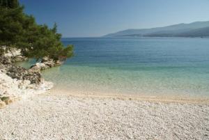 una playa con un árbol y el agua en Luna, en Rabac