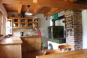 a kitchen with wooden cabinets and a brick oven at Privat No. 2 in Adršpach
