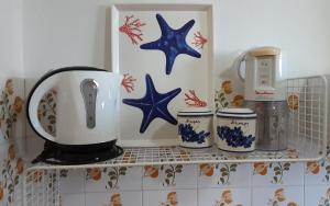 a toaster on a shelf in a kitchen at Nea Styra seafront apartment with stunning view in Nea Stira +10 photos