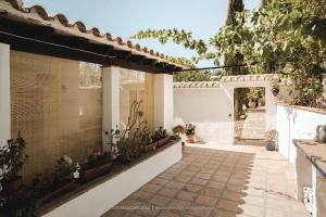 a courtyard of a house with potted plants at B&B Cortijo Loma León in Cútar