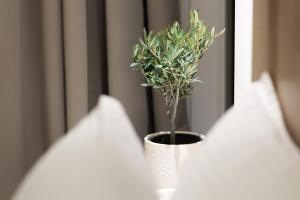 Fotografie z fotogalerie ubytování Cavo Delea Villas & Suites v destinaci Posidi
