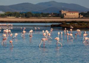 Fotografia z galérie ubytovania Affittacamere orbetello centro v destinácii Orbetello