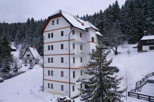 een groot wit gebouw met een kerstboom in de sneeuw bij Apartment Petrović in Kopaonik