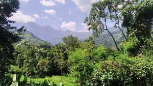 Gallery image of Ruboni Community Camp in Kasese +38 photos