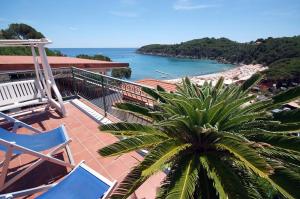 a balcony with a palm tree and a view of a beach at Hotel Alma in Campo nell'Elba