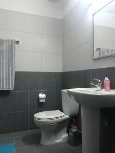 uma casa de banho com um WC e um lavatório em Mazotos 54m2 One Bedroom Flat, "Panoramic Village" em Mazotos