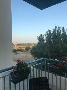 d'un balcon avec deux plantes en pot et une vue. dans l'établissement Mazotos 54m2 One Bedroom Flat, "Panoramic Village", à Mazotos