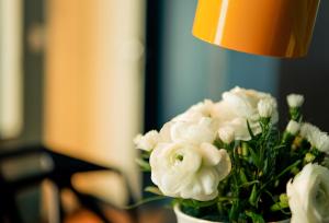 Fotografie z fotogalerie ubytování Hotel Daval v Paříži