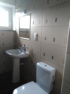 a bathroom with a white toilet and a sink at Jurajska Bajka in Przybynów