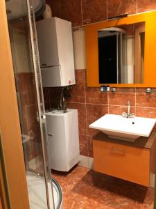 ein Bad mit einer Dusche, einem Waschbecken und einem Spiegel in der Unterkunft Nina Apartment in Wiener Neustadt