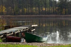 Billede fra billedgalleriet på Maly Domek Zalesie i Barczewo