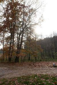 Billede fra billedgalleriet på Maly Domek Zalesie i Barczewo