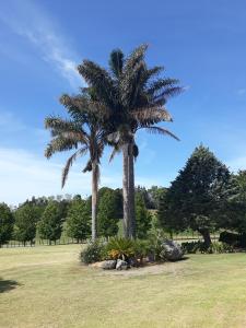 Garden sa labas ng Rural Palms