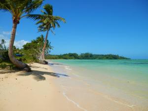 a beach with two palm trees and the ocean at Sigasiga Sands Boutique Bungalows in Savusavu