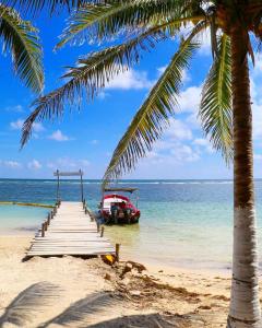 una barca sulla spiaggia con una palma di Hotel Jardin Mahahual a Mahahual