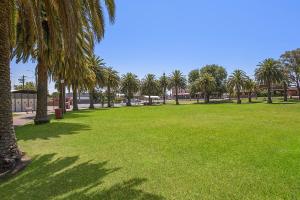 a grassy area with palm trees and palm trees at Comfort Inn May Park in Horsham