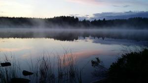 a misty lake in the middle of a forest at Vristulvens äventyrscenter in Mariestad