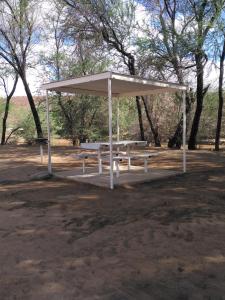 a picnic shelter with a picnic table in a park at Old Bridge Camping in Maltahöhe