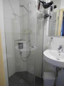 ein Bad mit einer Dusche und einem Waschbecken in der Unterkunft Seewiesenalm in Reit im Winkl