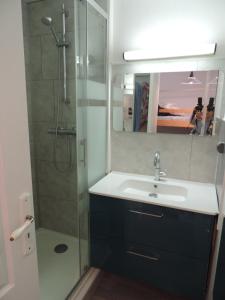 a bathroom with a sink and a shower with a mirror at Le Saint Amand, studio cabine, agréable terrasse sud in Le Touquet-Paris-Plage