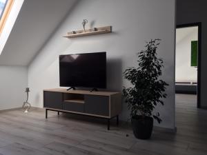 a living room with a tv and a potted plant at Jókai Apartman in Dunaföldvár