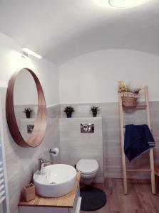 a bathroom with a sink and a toilet and a mirror at Várvölgy Vendégház - teljes ház, kizárólagos használattal in Veszprém