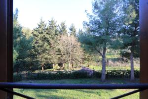 a view from a window of a yard with trees at Agriturismo Pimpinnacolo in Porto Ercole