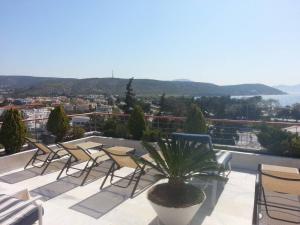 a group of chairs and a potted plant on a balcony at Varkiza Seaside Penthouse with Private Roof Deck in Vari