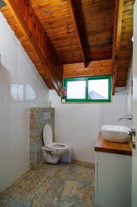 a bathroom with a toilet and a sink at Home for Air -- 9 minutes from sea of Galilee in Giv'at Yo'av +44 photos