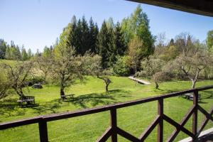 a view of a park with benches and trees at Karlamuiza Country Hotel in Kārļi