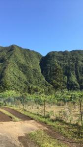 Gallery image of Au coeur de la Cascade Biberon in La Plaine des Palmistes