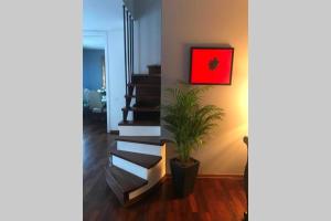 トレヴィーゾにあるDadahome elegante appartamento vicino al centroの鉢植えの階段