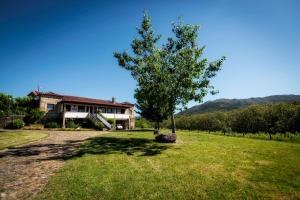 a house with a tree in front of a field at Casa Da Quinta Do Rei in Ponte de Lima