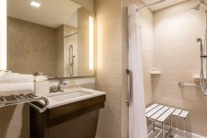 Een badkamer bij Holiday Inn Brooklyn Downtown by IHG