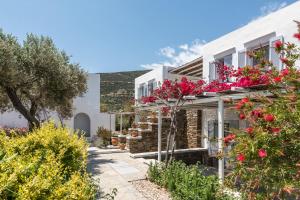 a house with flowers on the side of it at Verina Terra in Platis Gialos