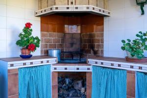 a kitchen with a stove with two potted plants at Terra Blanca del Benicadell in Beniatjar