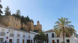 budynek przed zamkiem z palmami w obiekcie Casa Puerta de la Alcazaba Antequera w mieście Antequera