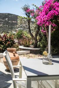 Gallery image of Verina Terra in Platis Yialos Sifnos +55 photos