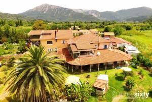 an aerial view of a house with a palm tree at Orange Apartments in Vasiliki