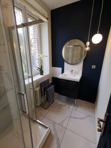 een badkamer met een wastafel en een spiegel bij Manoir des Carreaux Chambres d'hôtes in Ingouville