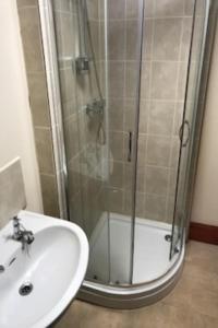 a shower with a glass door next to a sink and a toilet at The Dolphin Inn in Kingsbridge