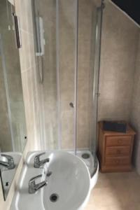 een badkamer met een wastafel, een douche en een toilet bij The Dolphin Inn in Kingsbridge